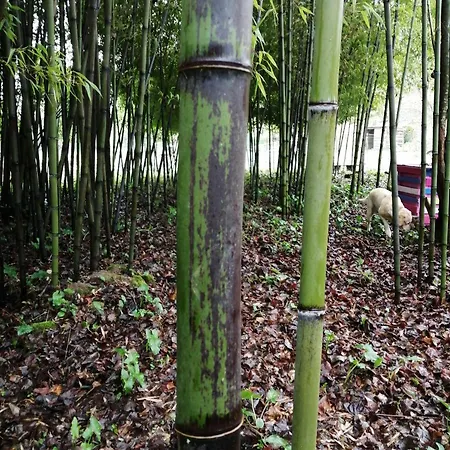 De L' Ancienne Metairie * Vivonne